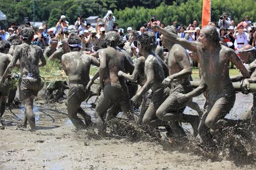 御田植式の様子