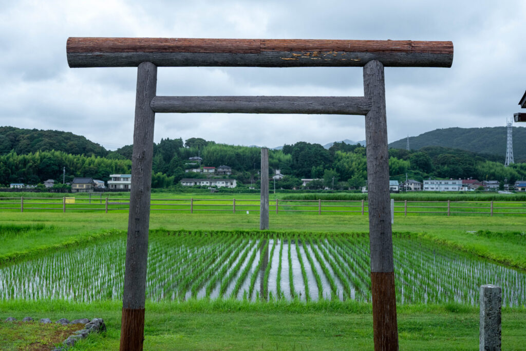 伊雑宮神田の鳥居