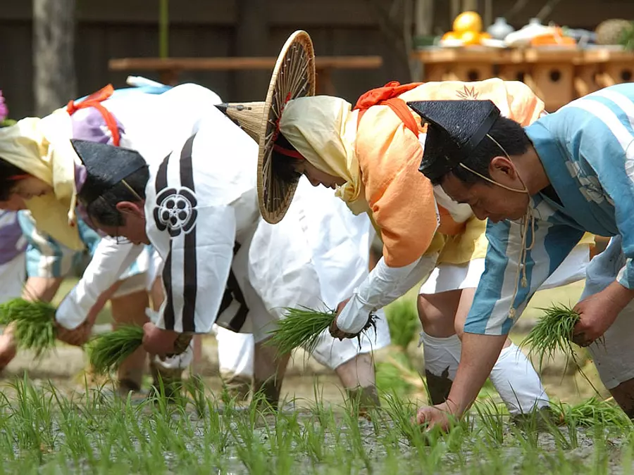 猿田彦神社例大祭の様子